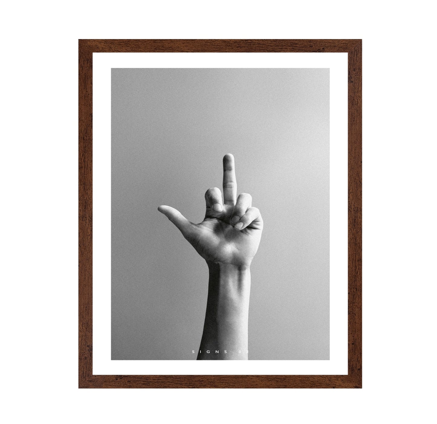 Hand Gesture Sign