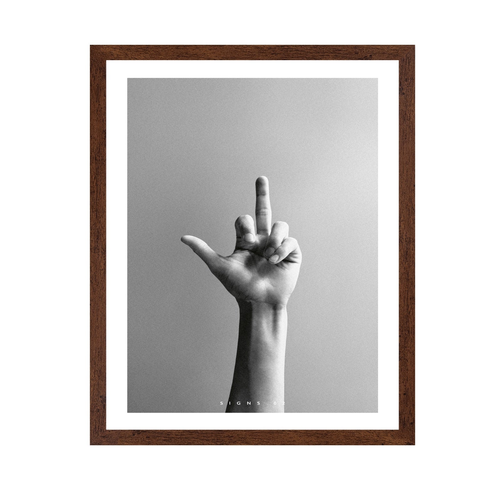 Hand Gesture Sign