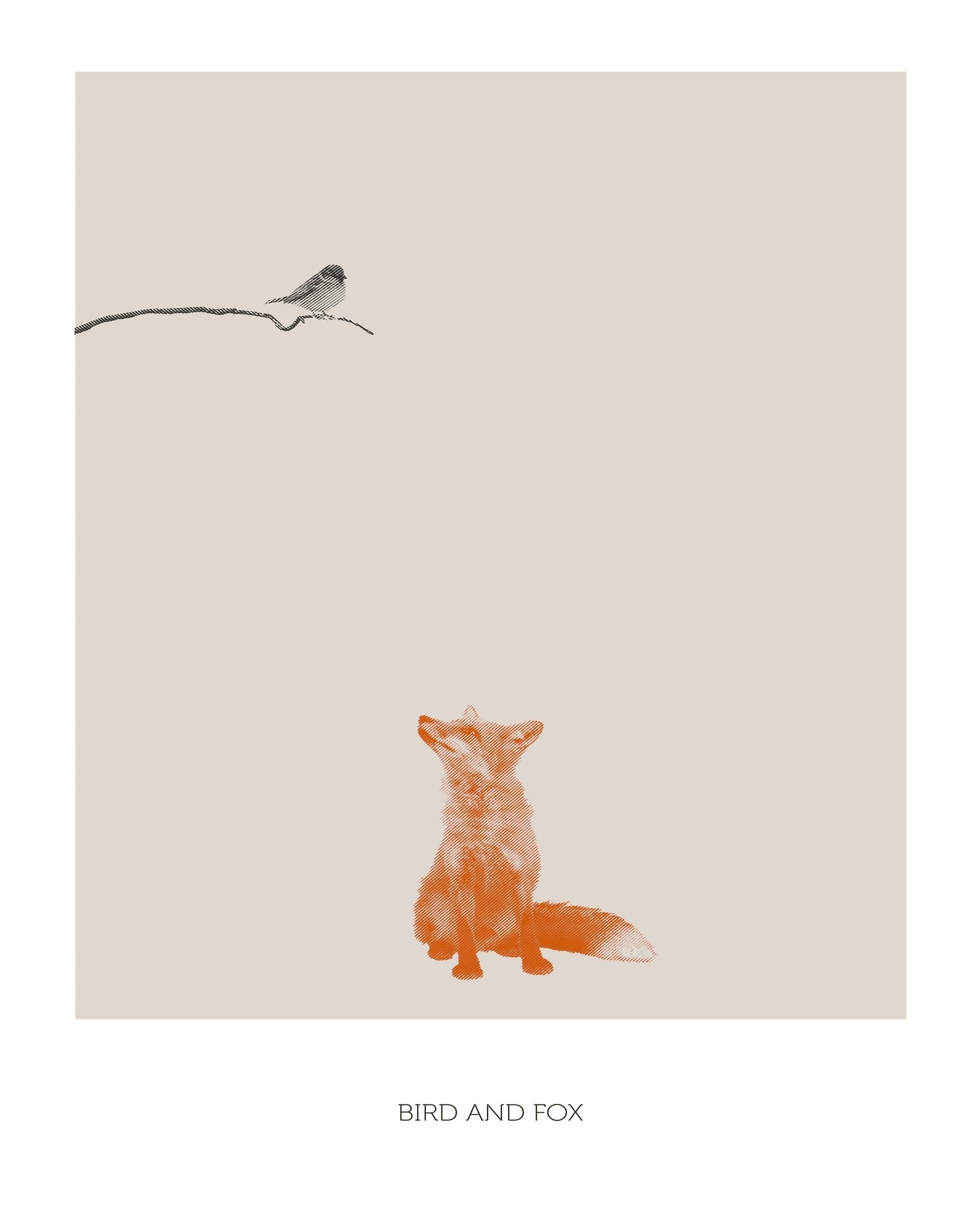 Fox Watching Bird