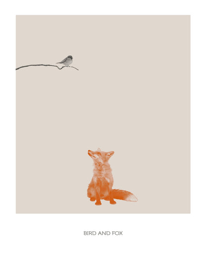 Fox Watching Bird