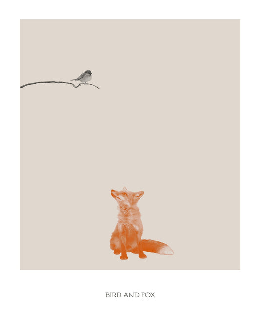 Fox Watching Bird
