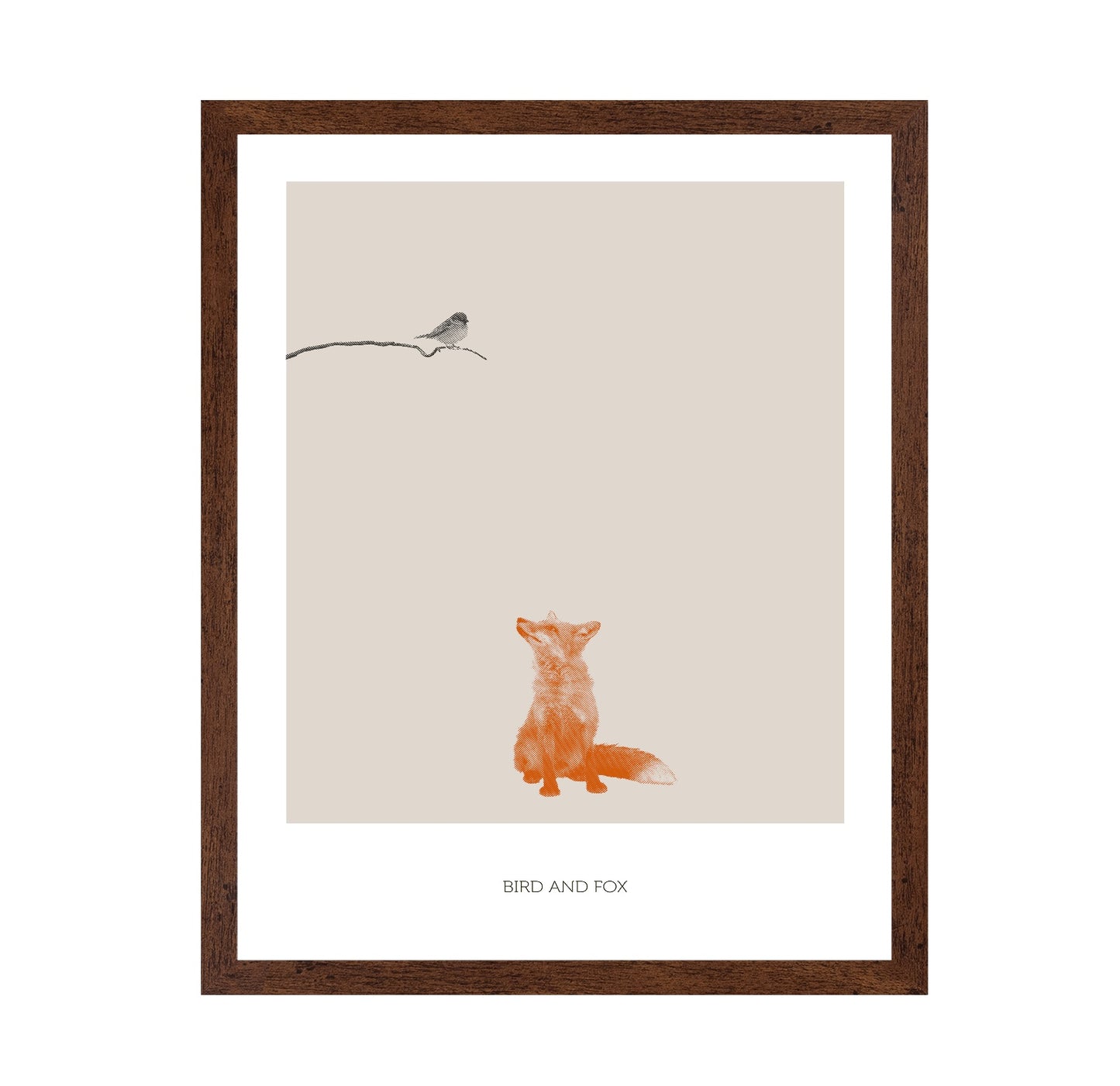 Fox Watching Bird