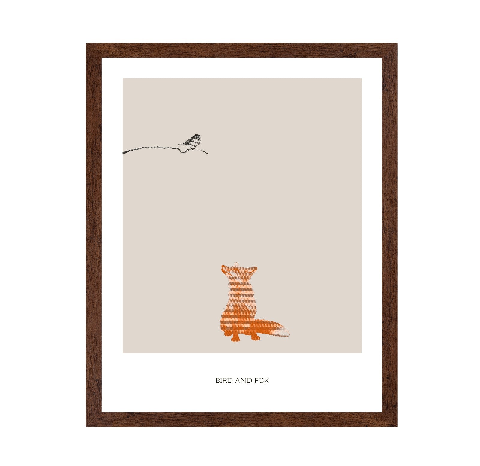 Fox Watching Bird