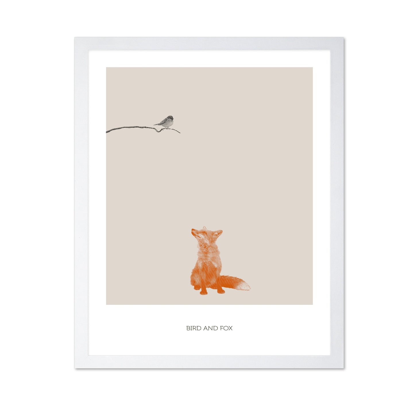 Fox Watching Bird