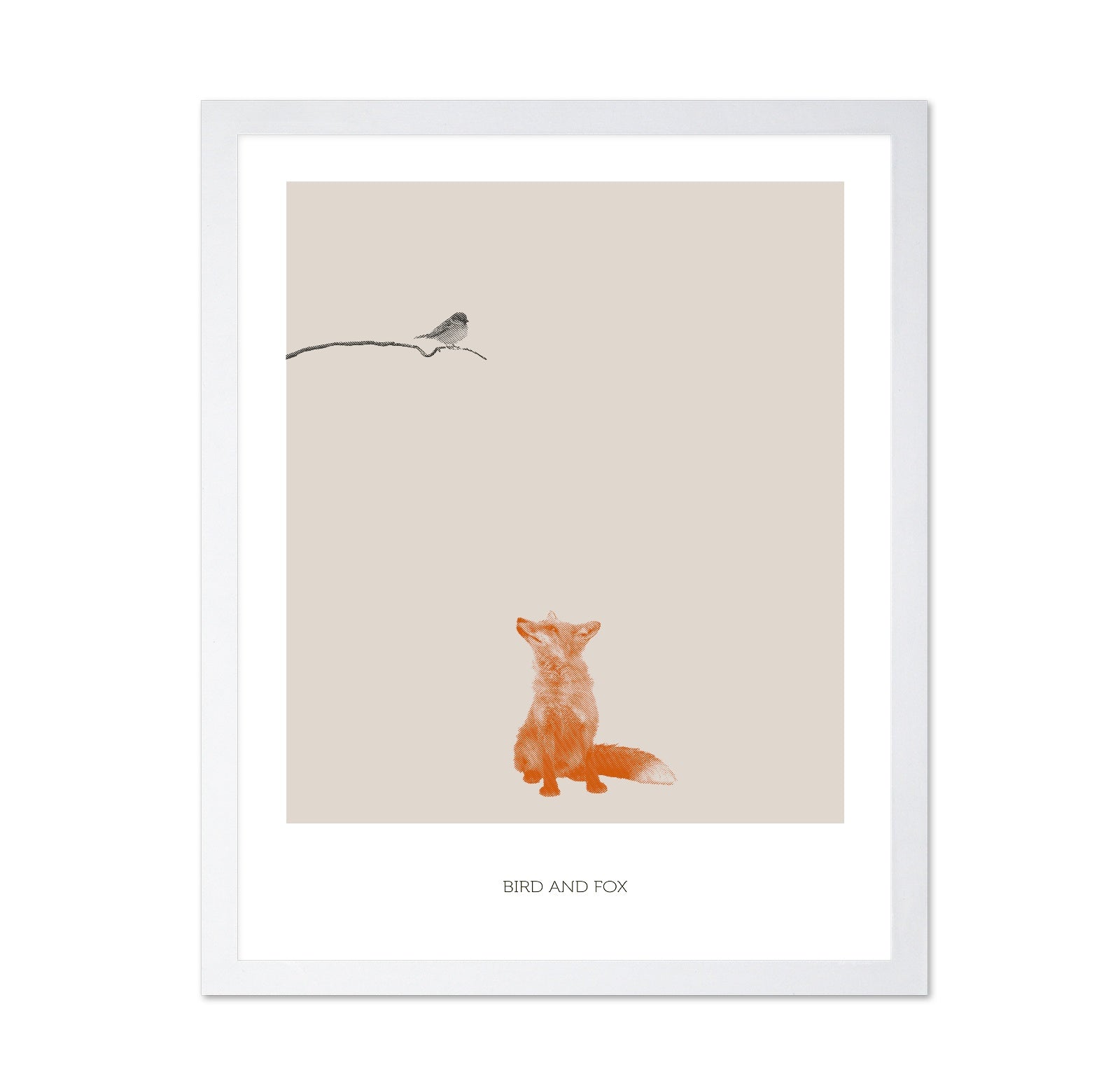 Fox Watching Bird
