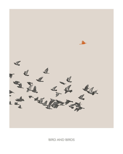 Lone Bird Flight