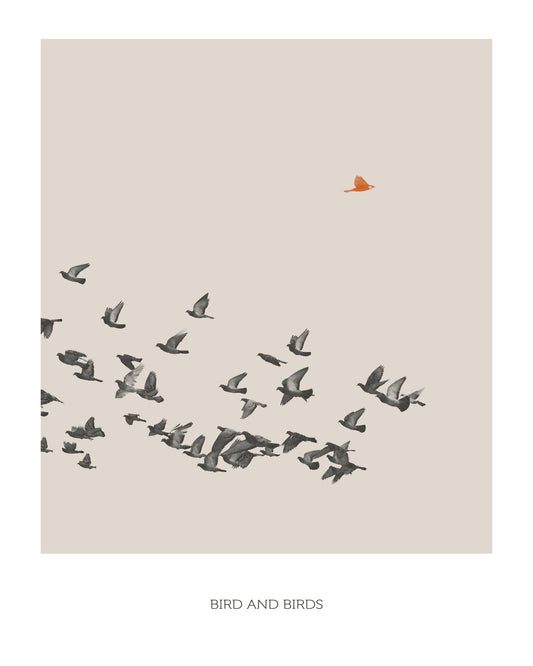 Lone Bird Flight