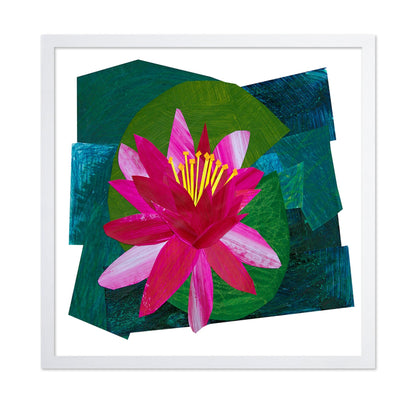 Pink Lotus Bloom