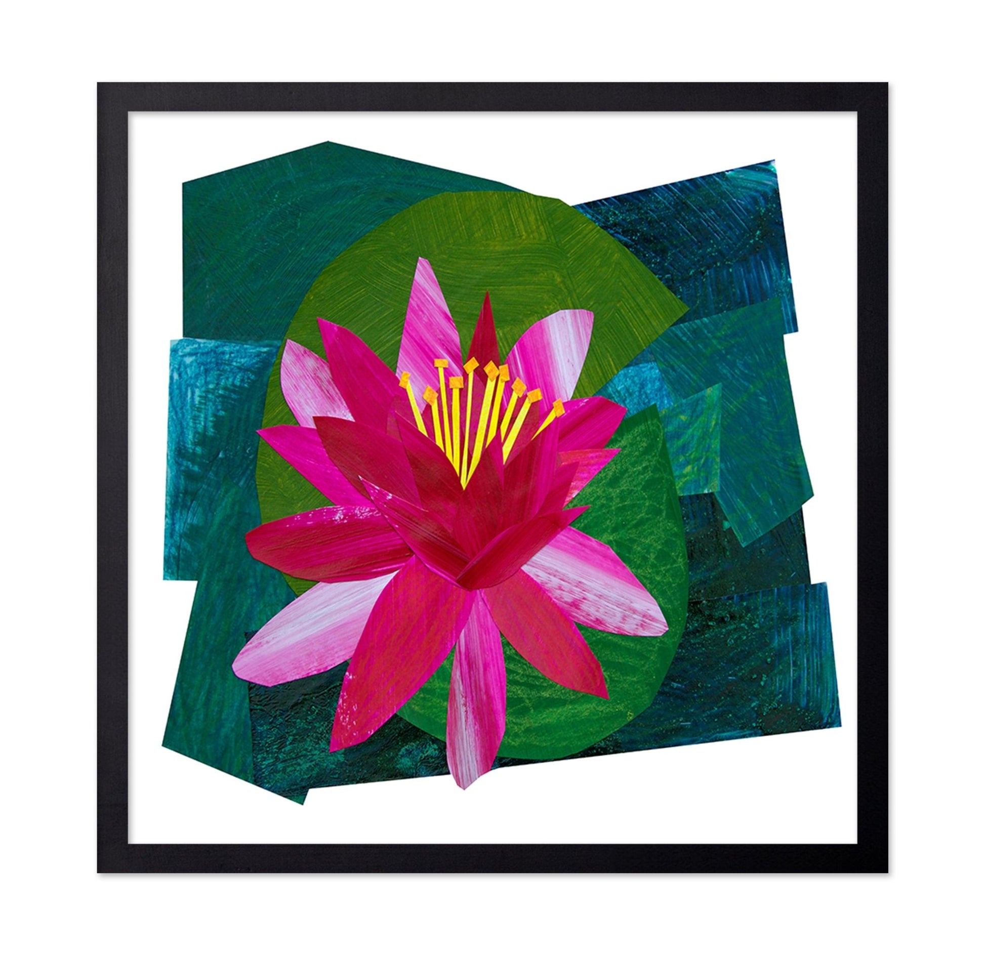 Pink Lotus Bloom
