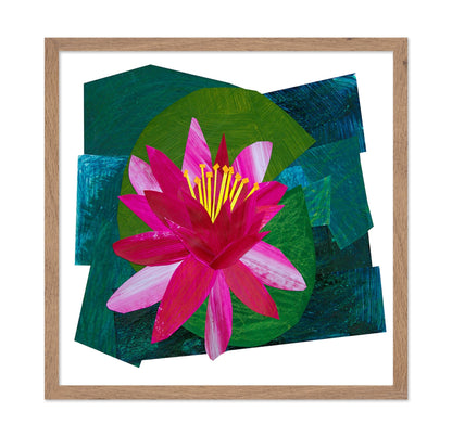 Pink Lotus Bloom