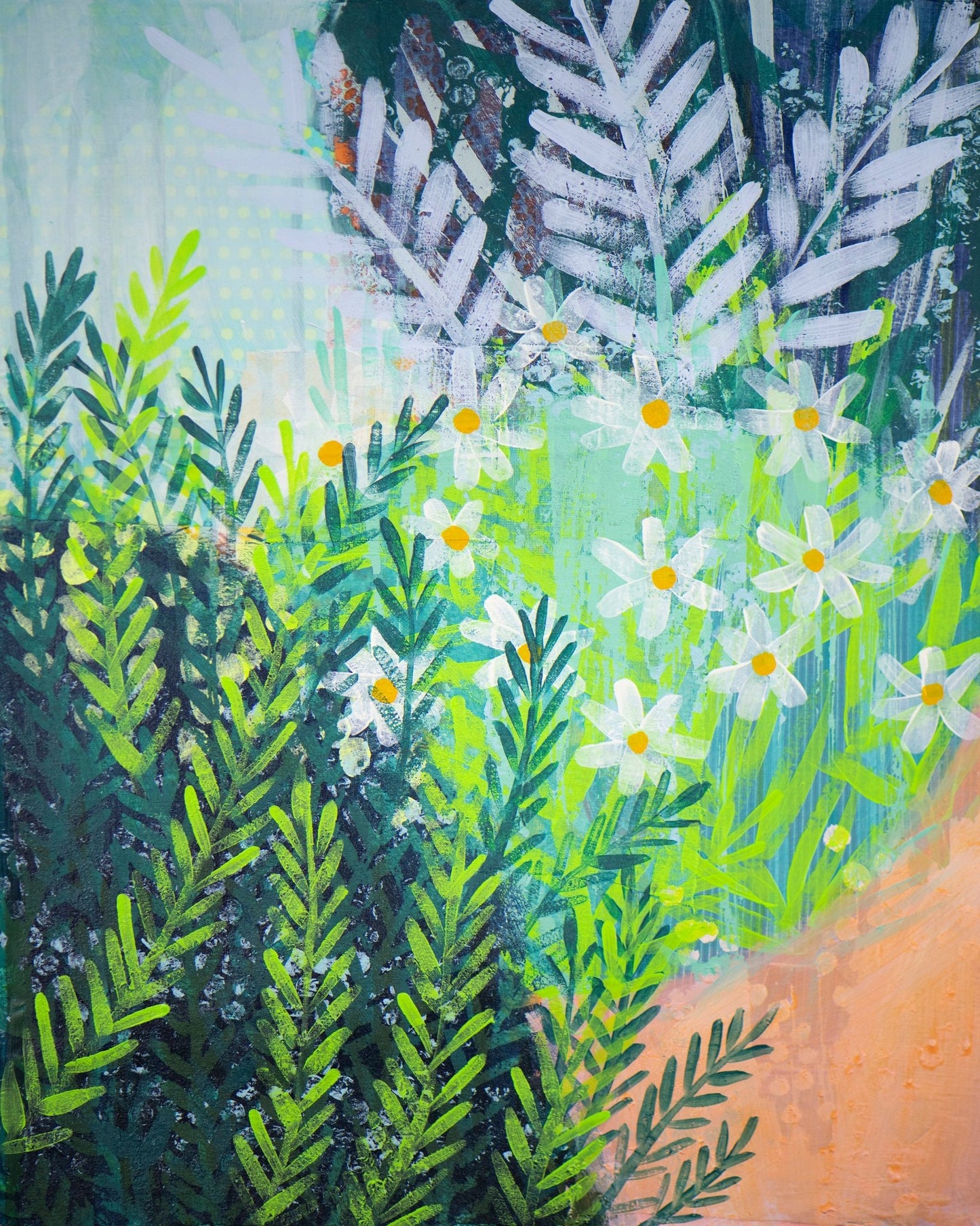 Wild Daisy Garden