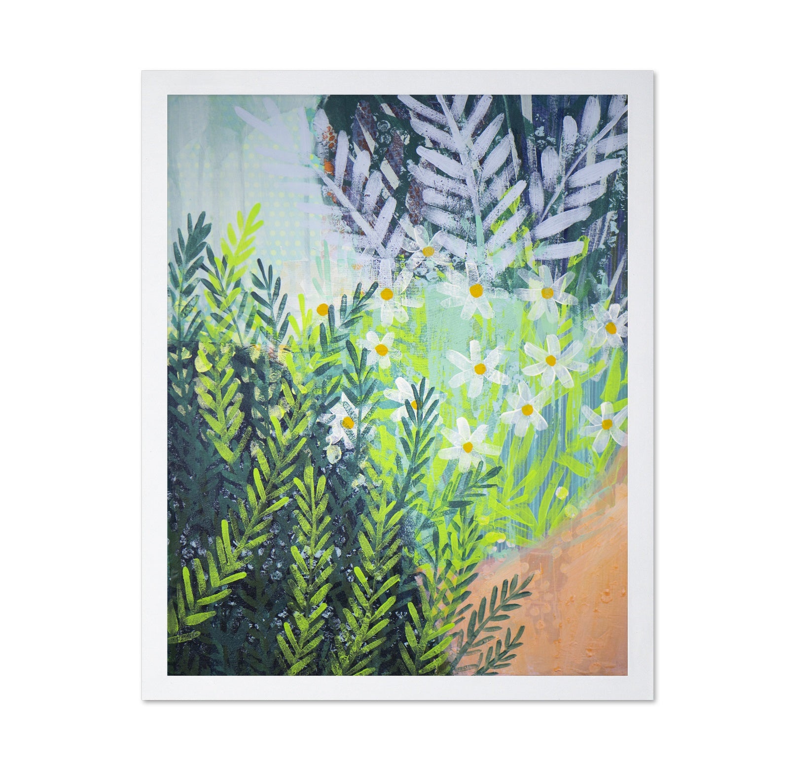 Wild Daisy Garden