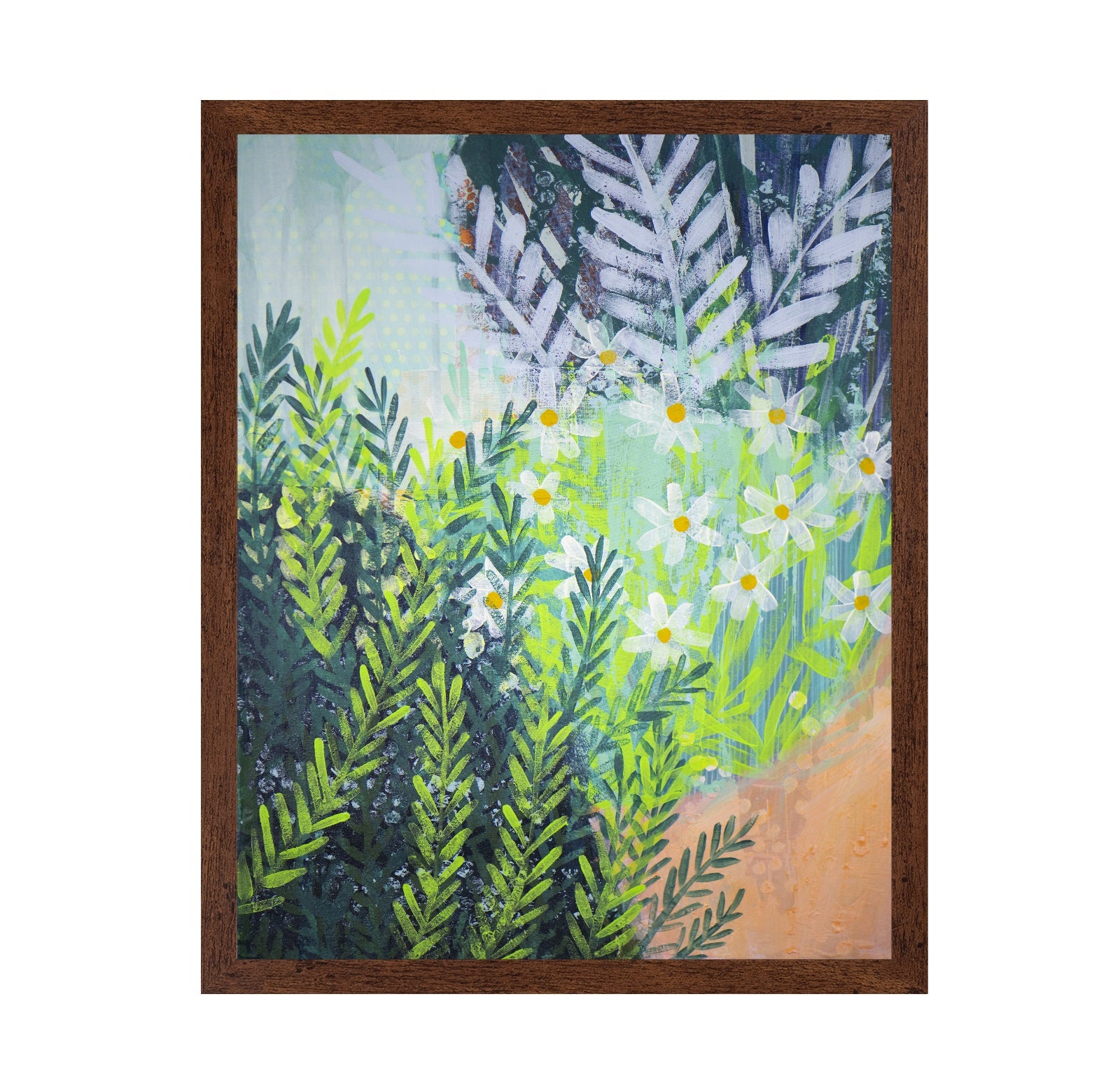 Wild Daisy Garden