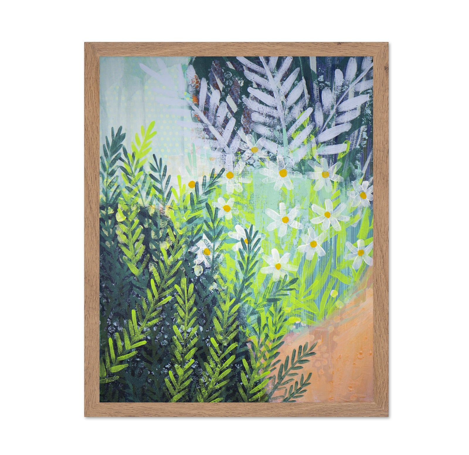 Wild Daisy Garden