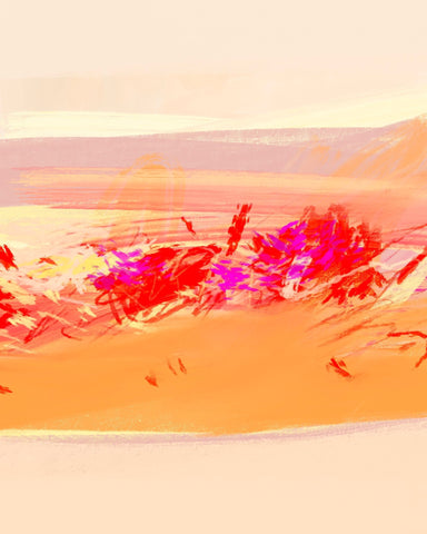 Desert Color Burst