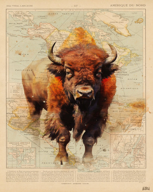 Wild Bison Map