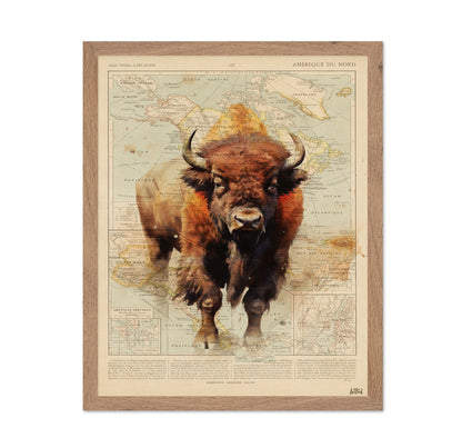 Wild Bison Map
