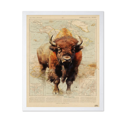 Wild Bison Map