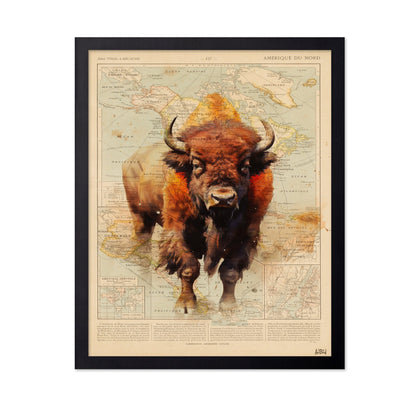 Wild Bison Map