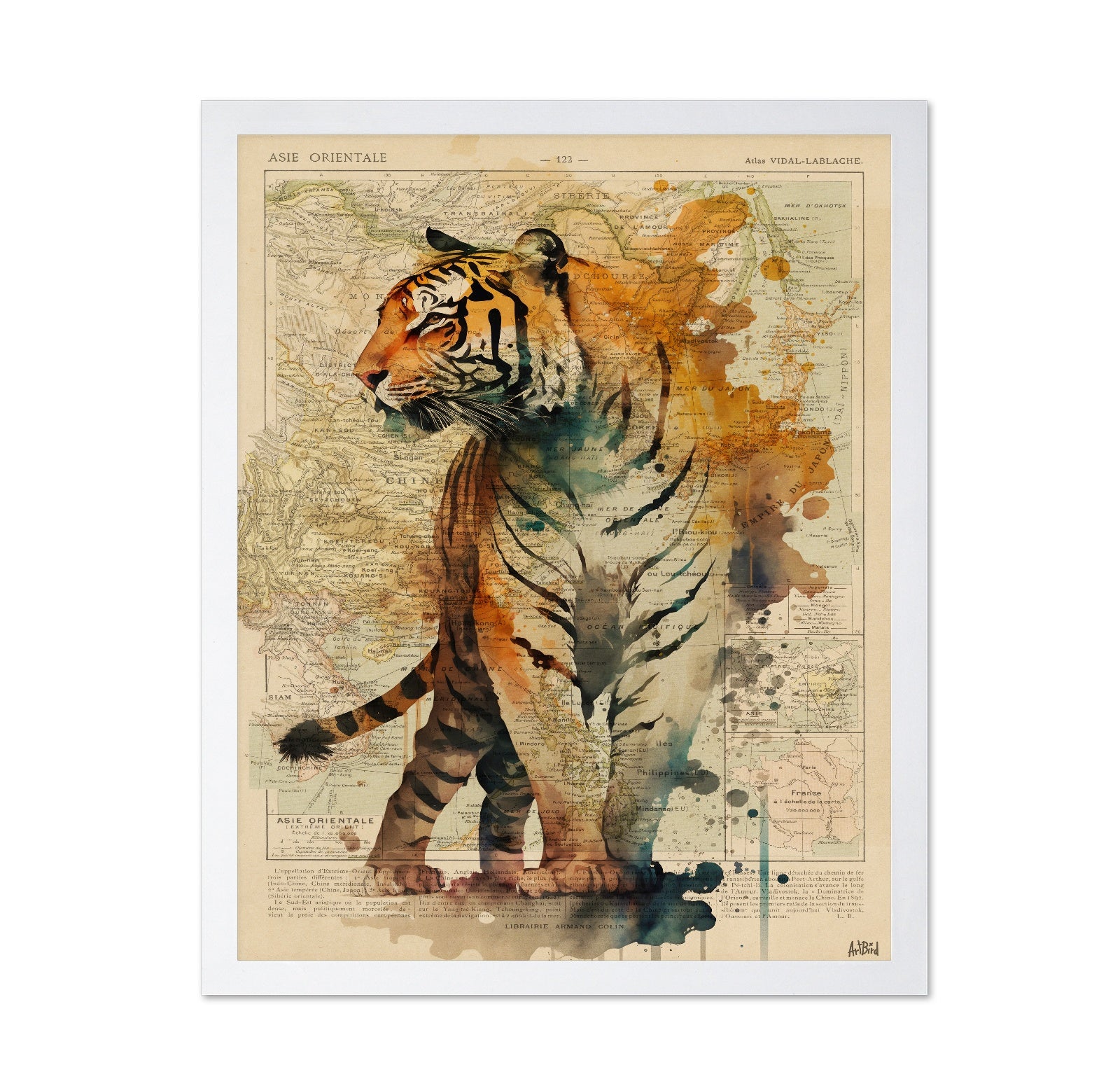 Vintage Tiger Map Collage