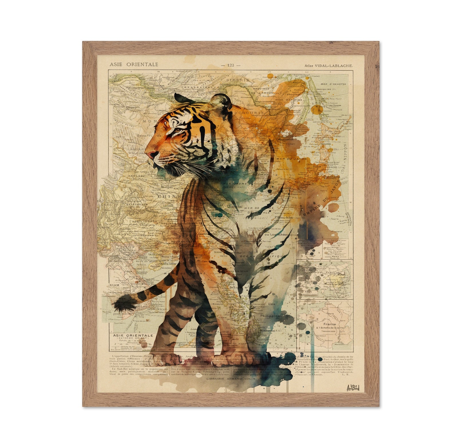 Vintage Tiger Map Collage