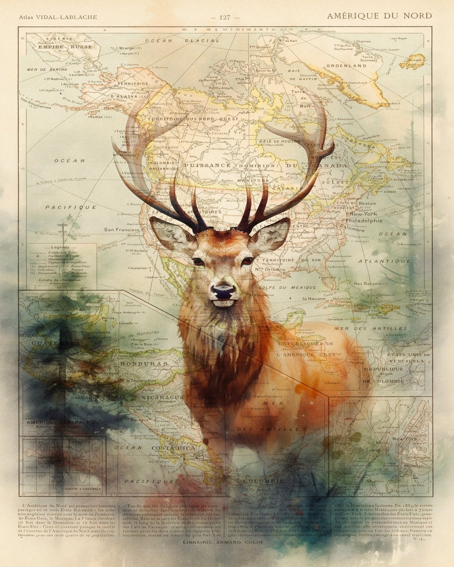 Majestic Deer Map