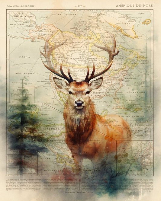 Majestic Deer Map
