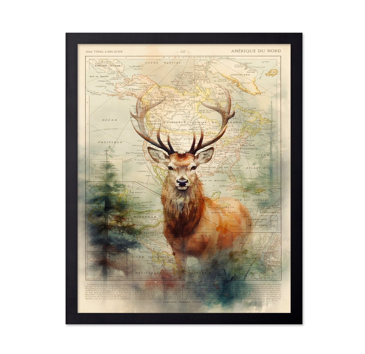Majestic Deer Map