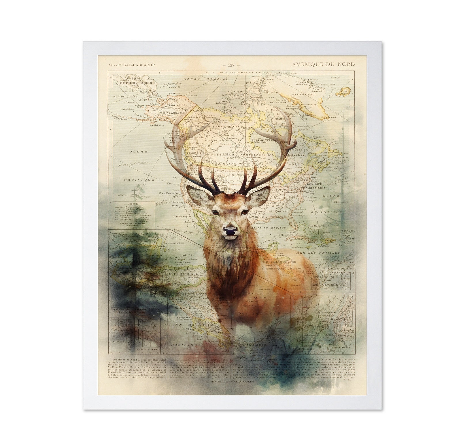 Majestic Deer Map