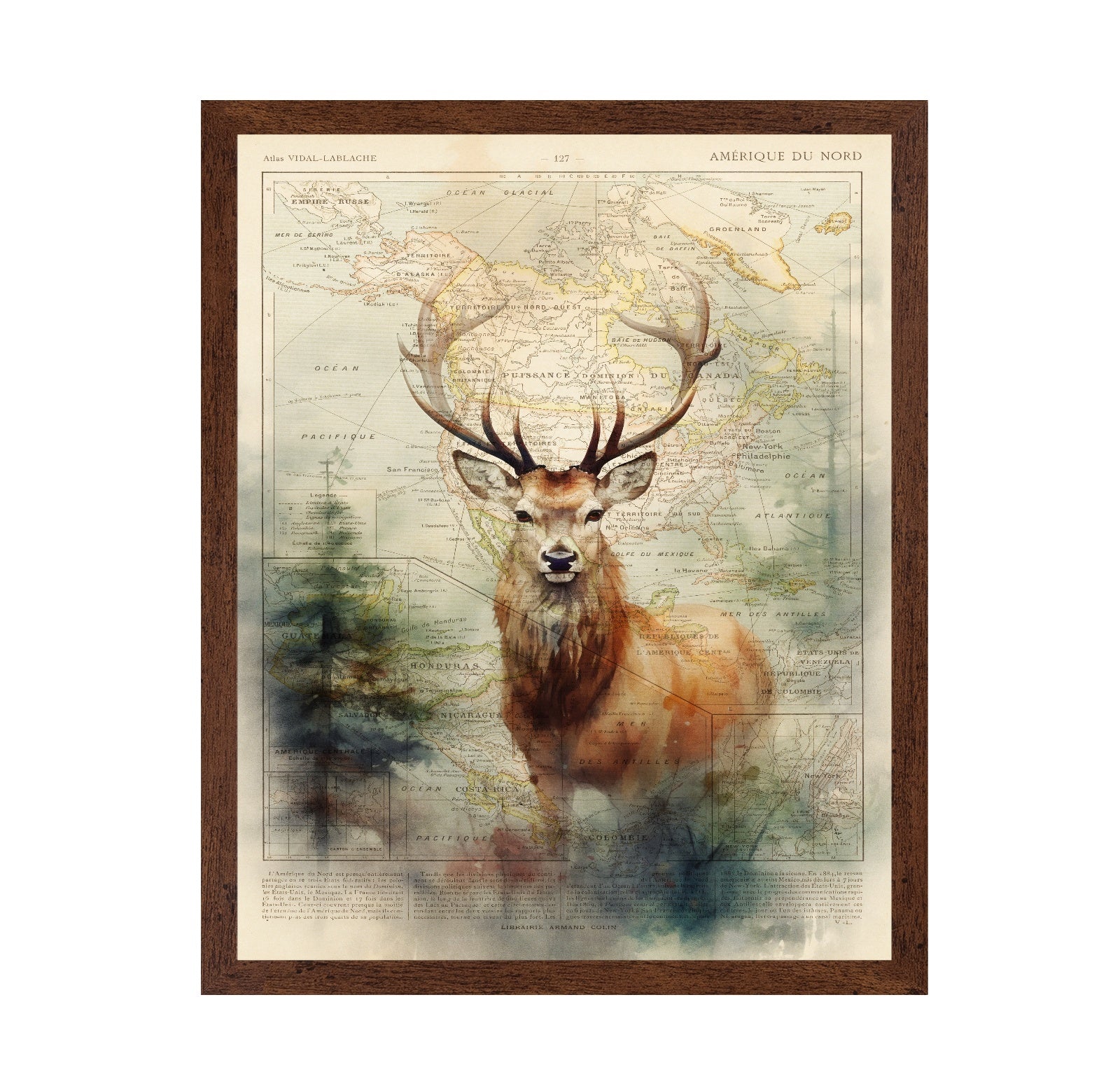 Majestic Deer Map