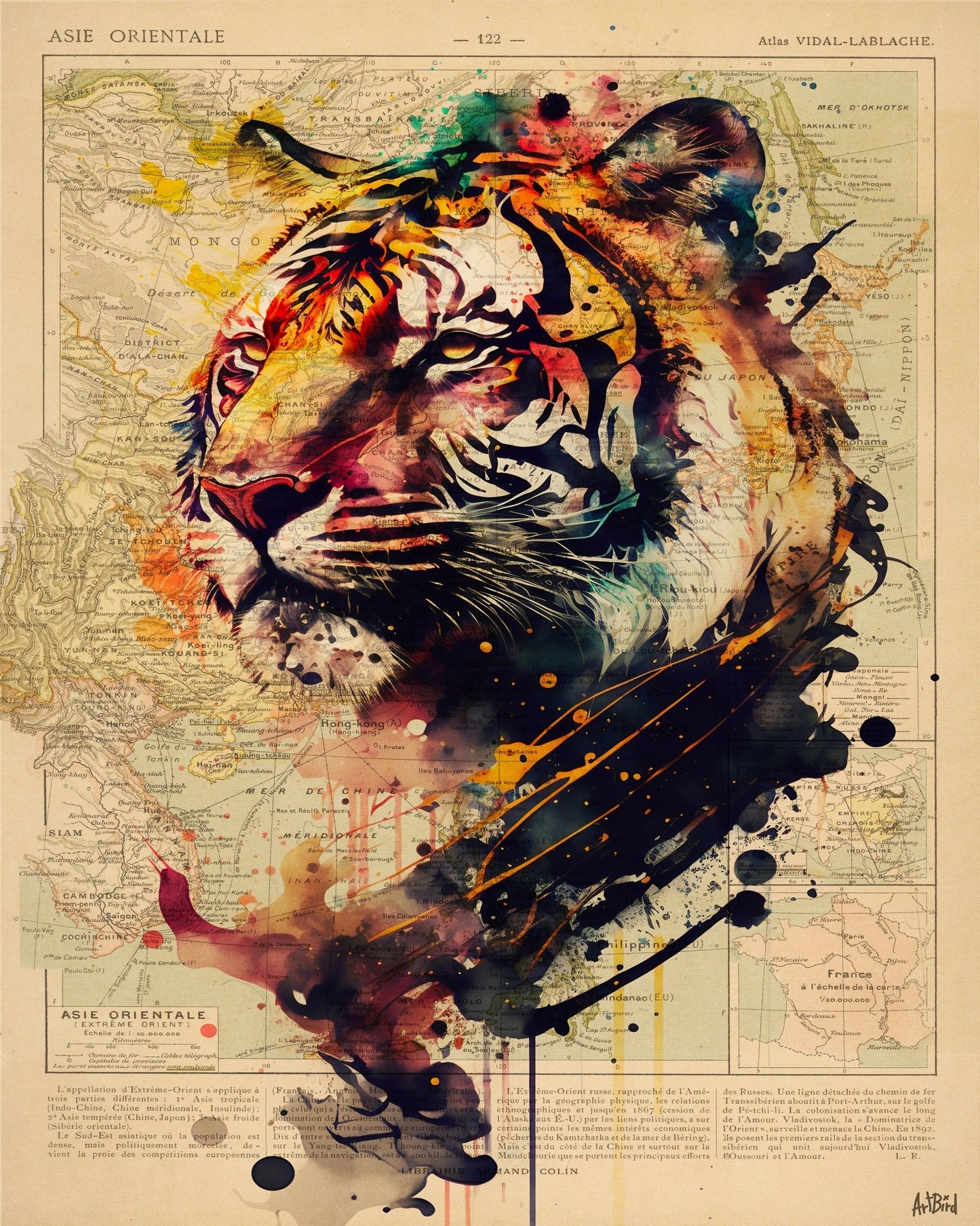 Abstract Tiger Map