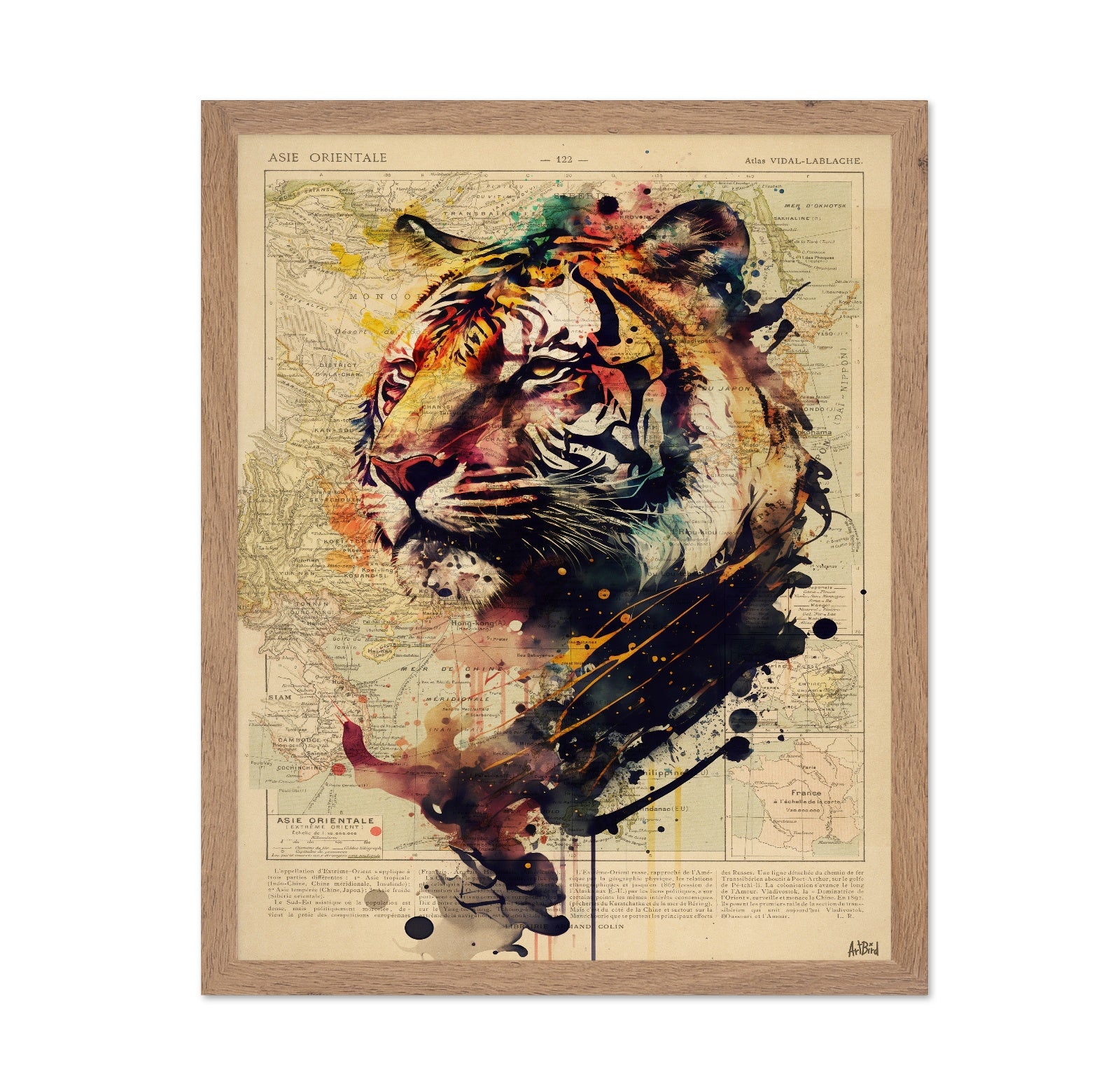 Abstract Tiger Map