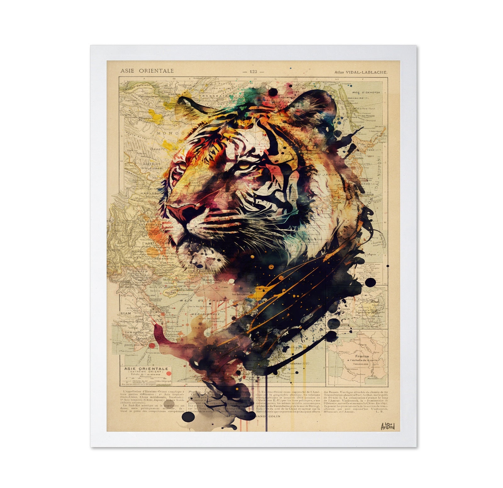 Abstract Tiger Map