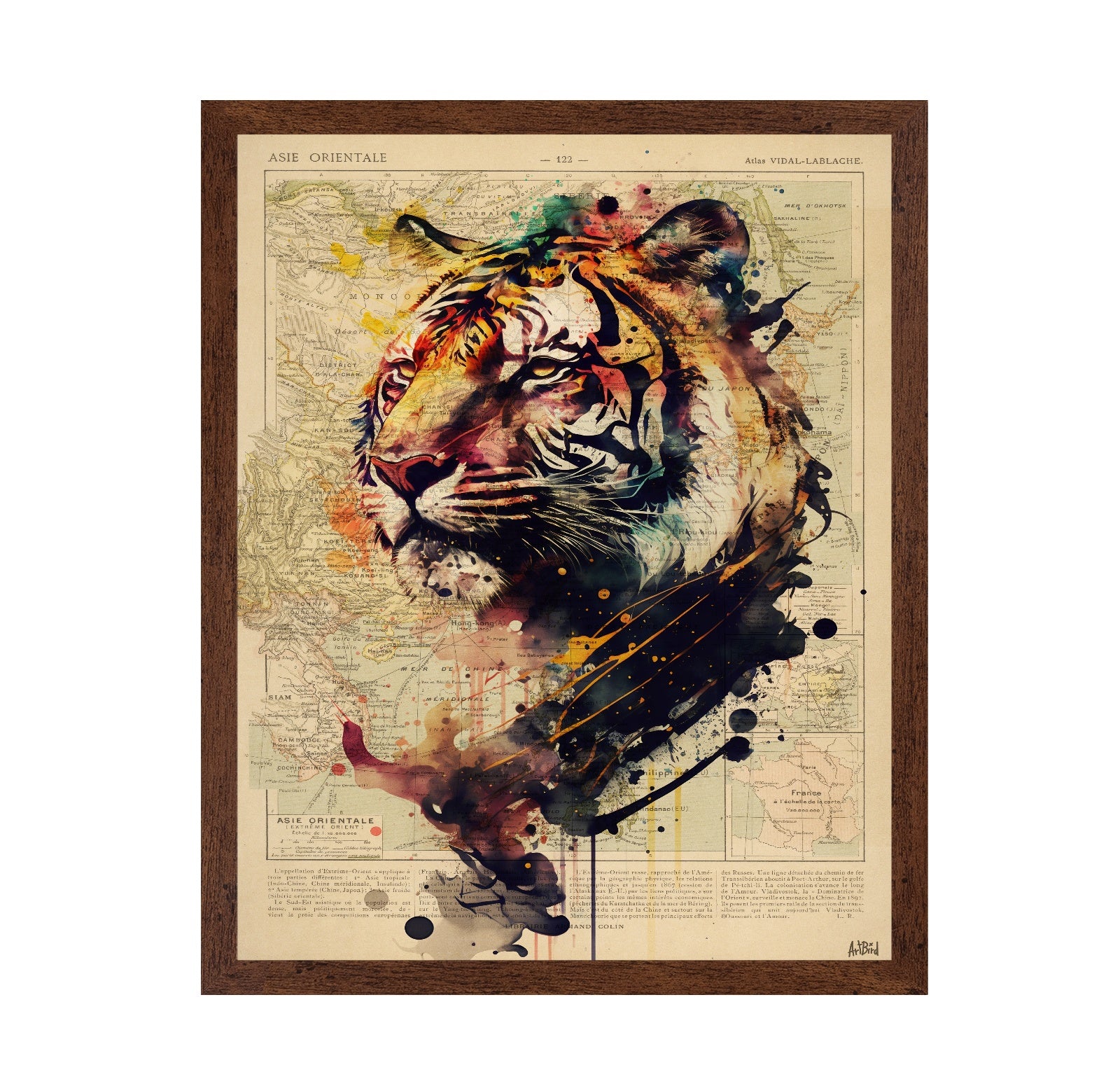 Abstract Tiger Map