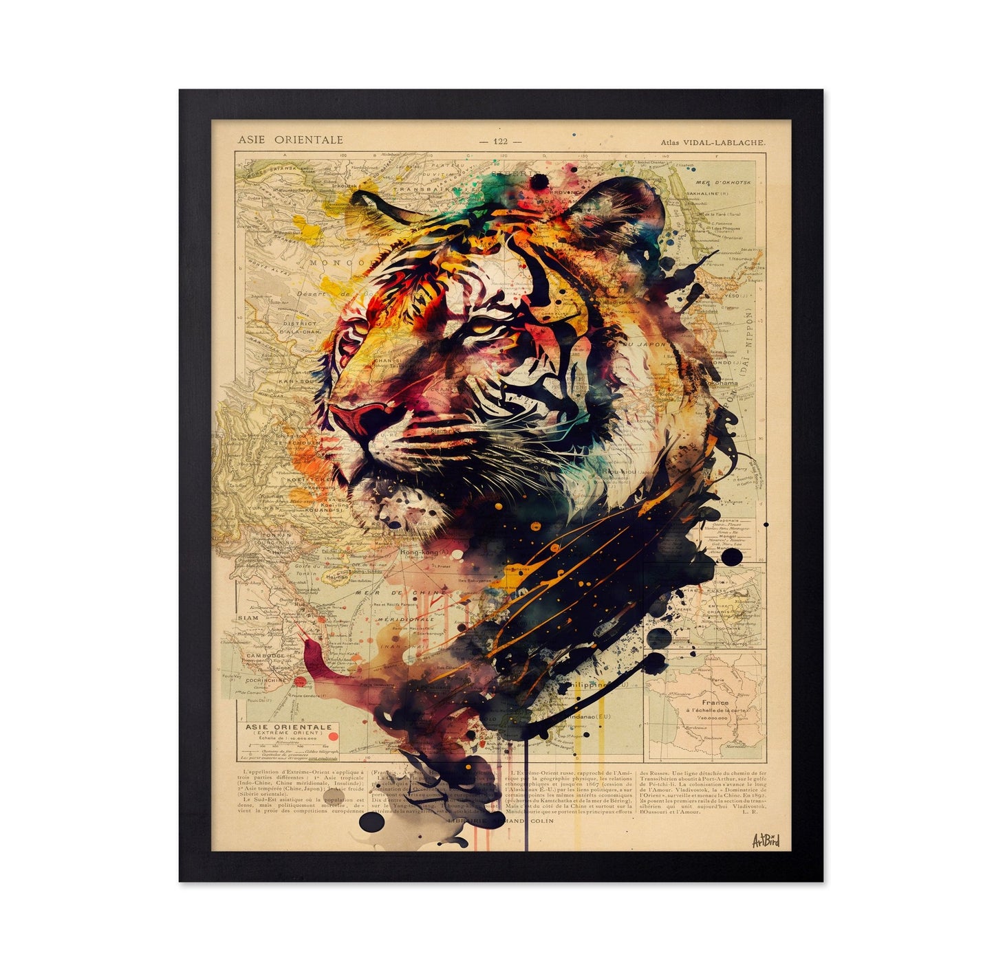 Abstract Tiger Map