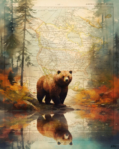 Forest Bear Map