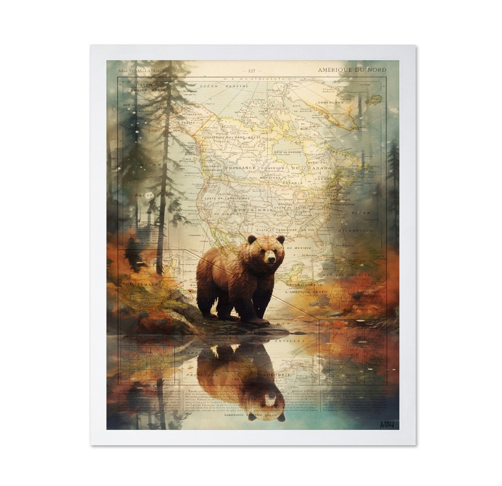 Forest Bear Map