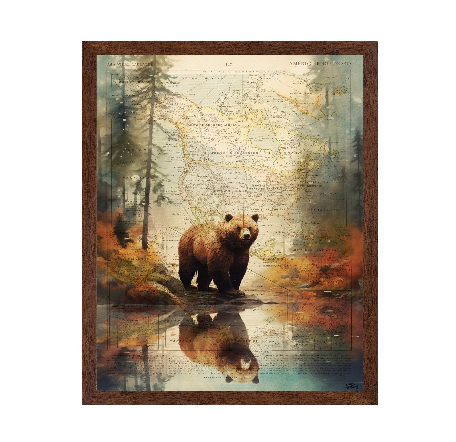 Forest Bear Map
