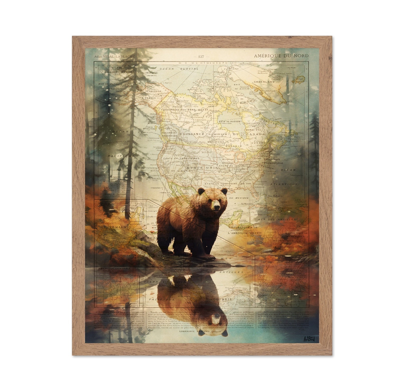 Forest Bear Map