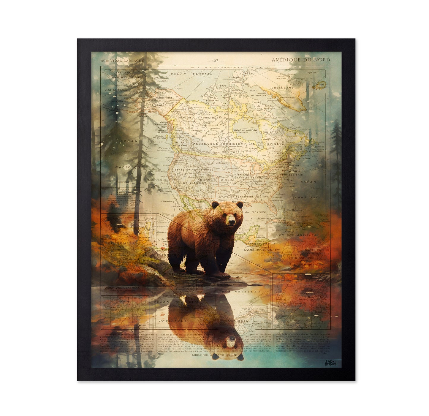 Forest Bear Map
