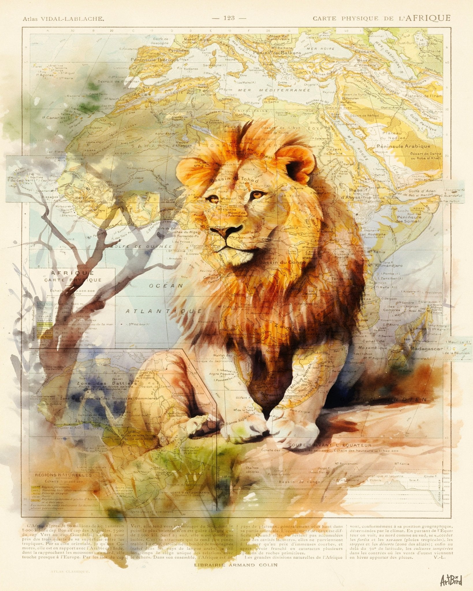 African Lion Map
