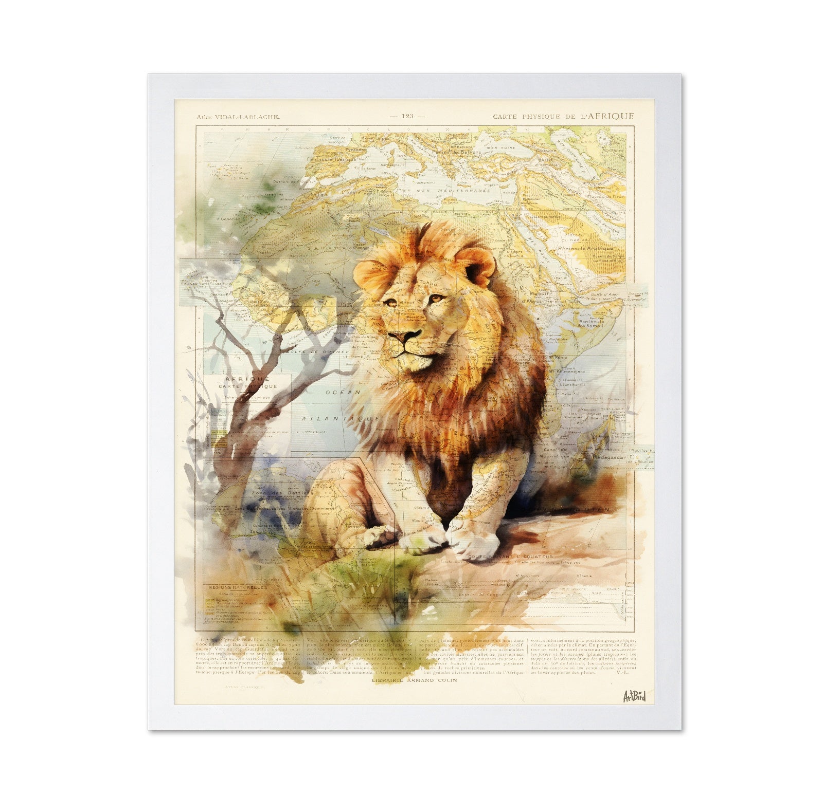 African Lion Map