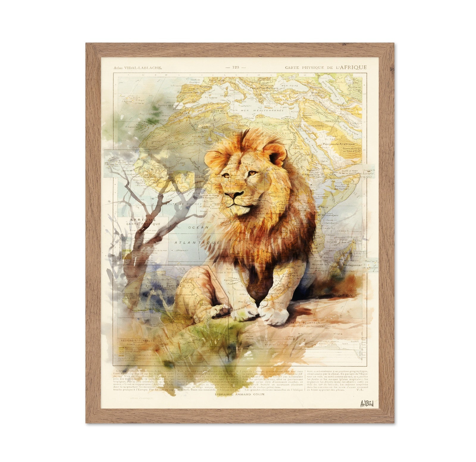 African Lion Map