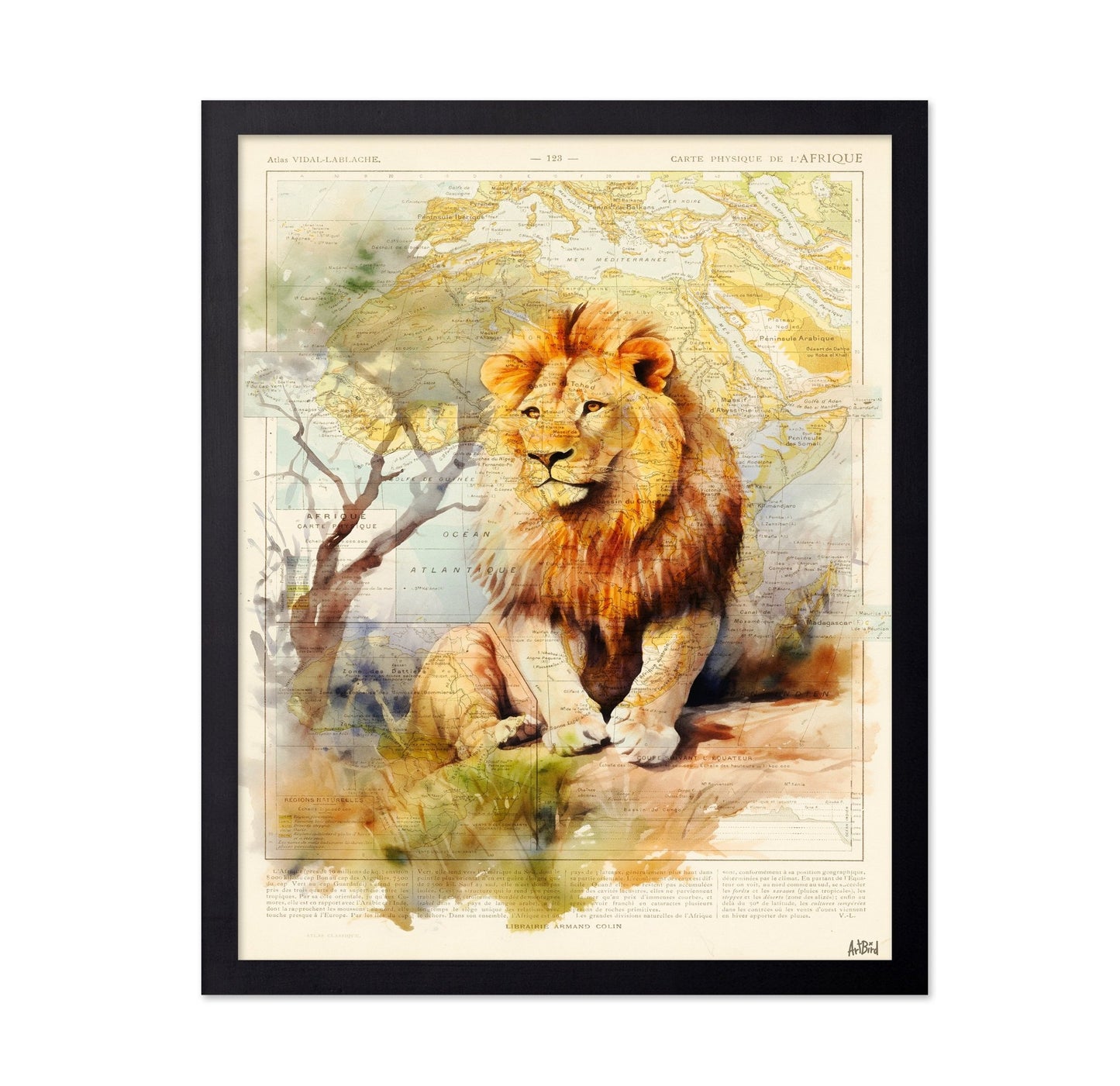 African Lion Map