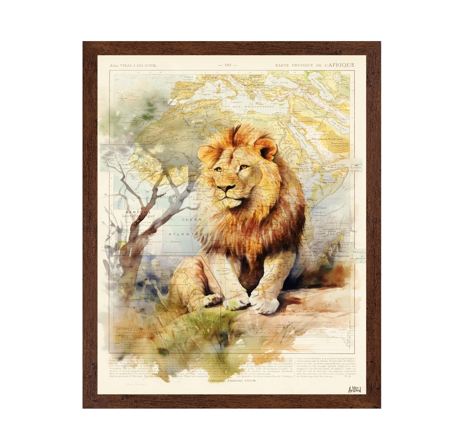 African Lion Map