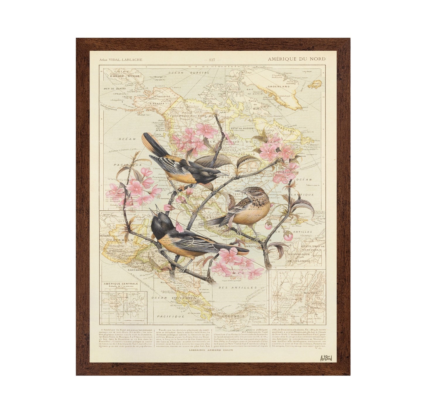 Blossom Birds Map