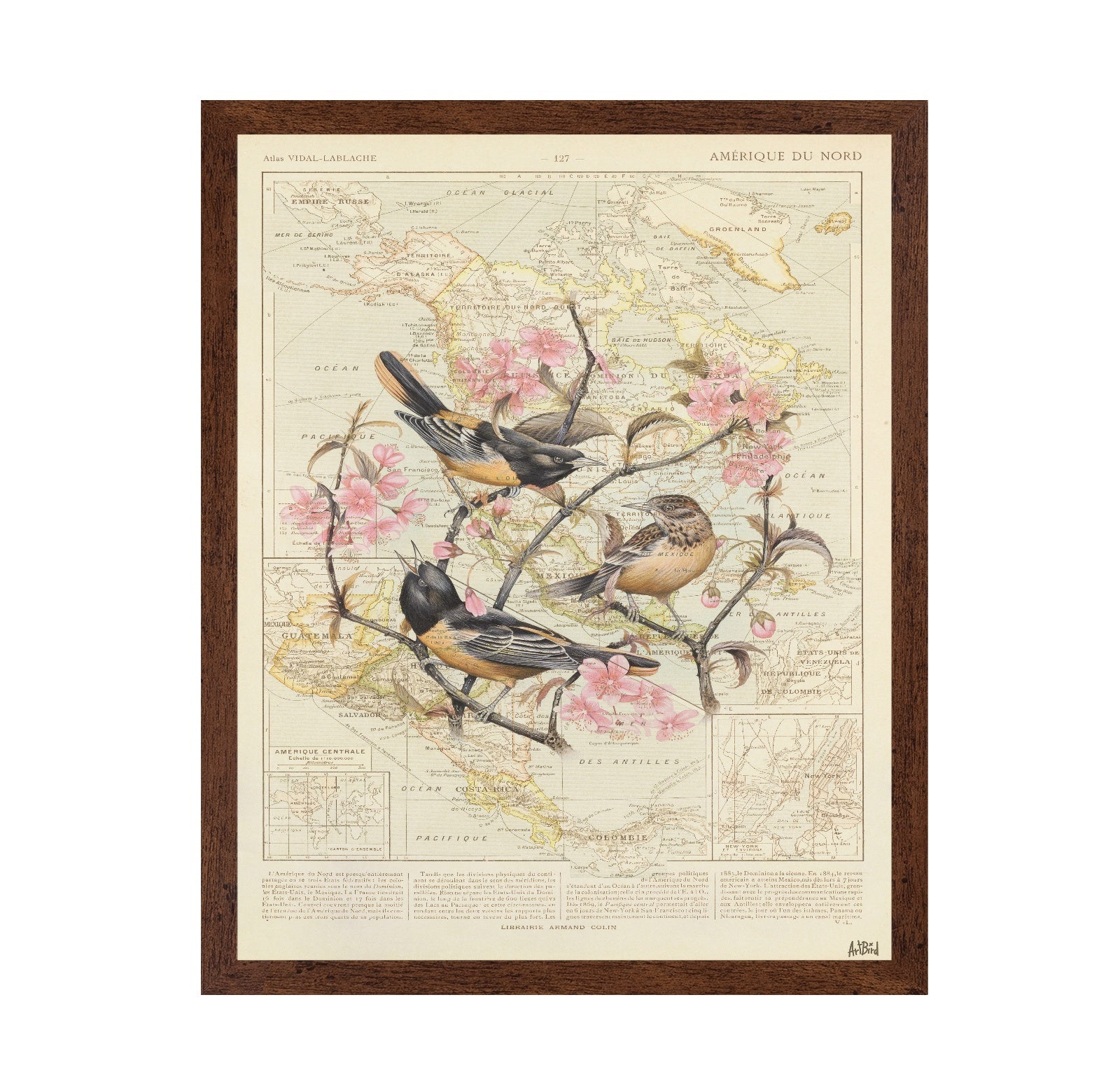 Blossom Birds Map