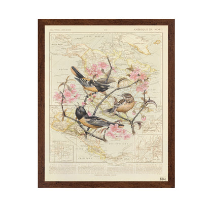 Blossom Birds Map
