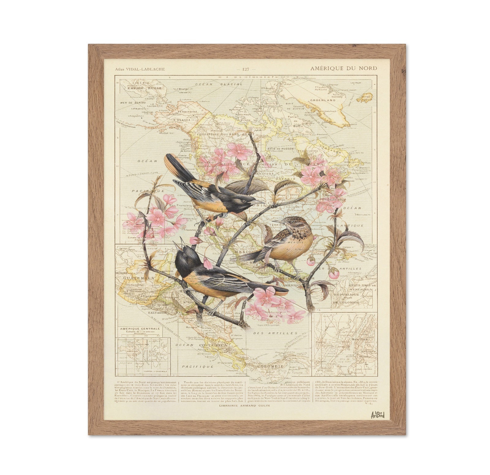 Blossom Birds Map