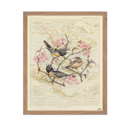 Blossom Birds Map